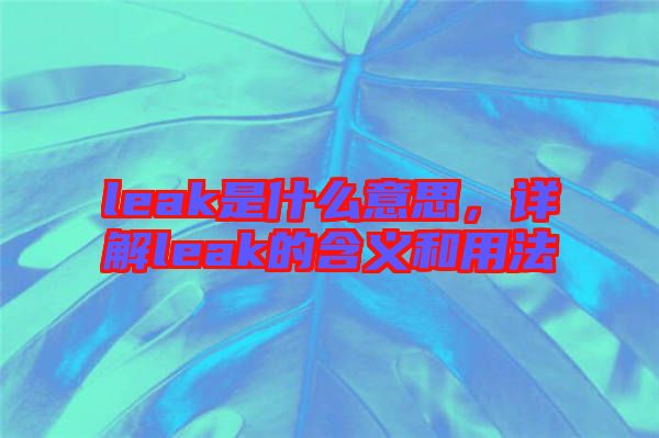 leak是什么意思，詳解leak的含義和用法