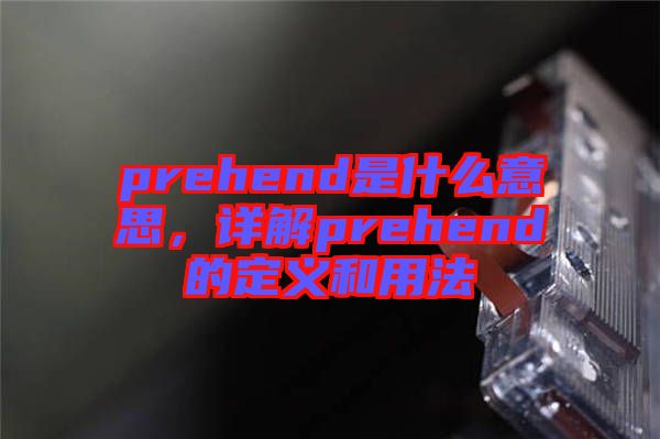 prehend是什么意思，詳解prehend的定義和用法