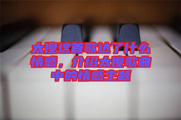 太傻這首歌達(dá)了什么情感，介紹太傻歌曲中的情感主題