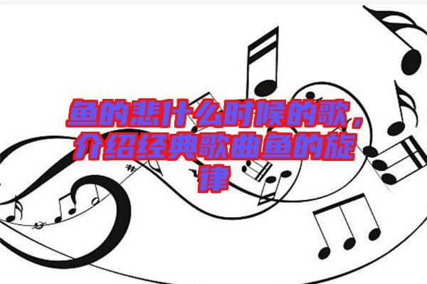 魚的悲什么時候的歌，介紹經(jīng)典歌曲魚的旋律