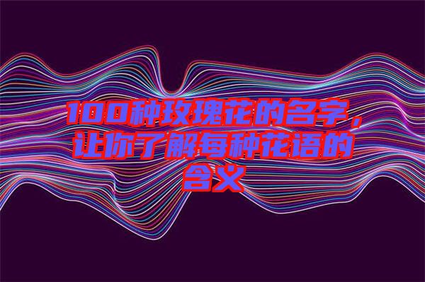 100種玫瑰花的名字，讓你了解每種花語的含義