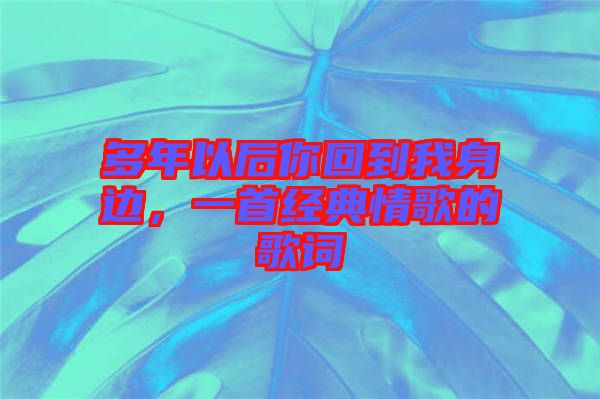 多年以后你回到我身邊，一首經(jīng)典情歌的歌詞