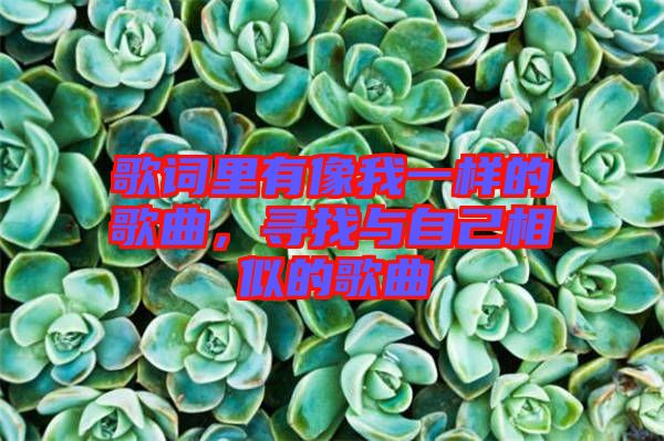 歌詞里有像我一樣的歌曲，尋找與自己相似的歌曲