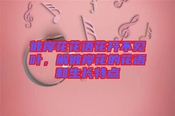 彼岸花花語花開不見葉，解彼岸花的花語和生長特點(diǎn)