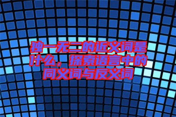 獨(dú)一無(wú)二的近義詞是什么，探索語(yǔ)言中的同義詞與反義詞