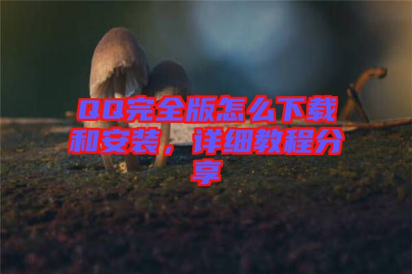 QQ完全版怎么下載和安裝，詳細教程分享