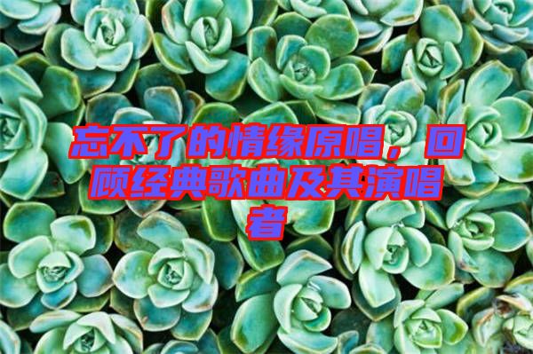 忘不了的情緣原唱，回顧經(jīng)典歌曲及其演唱者