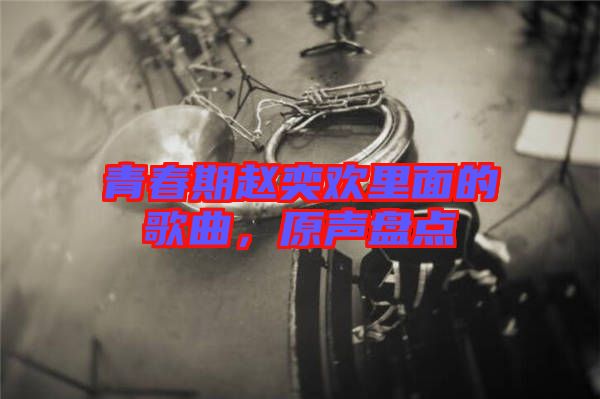 青春期趙奕歡里面的歌曲，原聲盤(pán)點(diǎn)