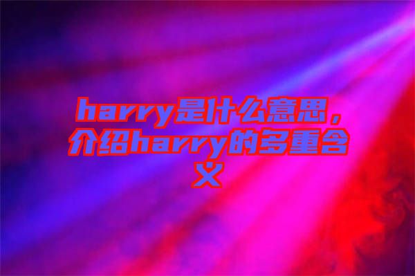 harry是什么意思，介紹harry的多重含義