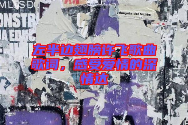 左半邊翅膀許飛歌曲歌詞，感受愛情的深情達