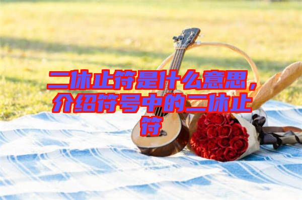 二休止符是什么意思，介紹符號(hào)中的二休止符