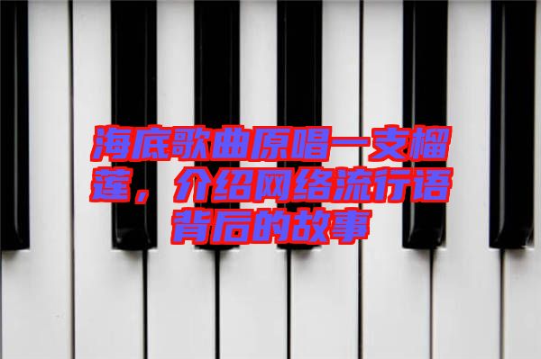 海底歌曲原唱一支榴蓮，介紹網(wǎng)絡(luò)流行語背后的故事