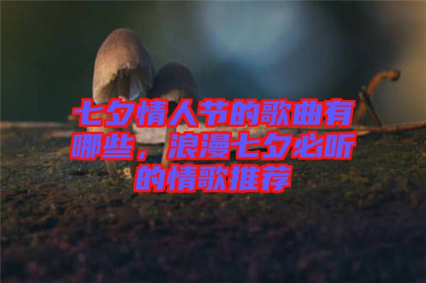 七夕情人節(jié)的歌曲有哪些，浪漫七夕必聽的情歌推薦