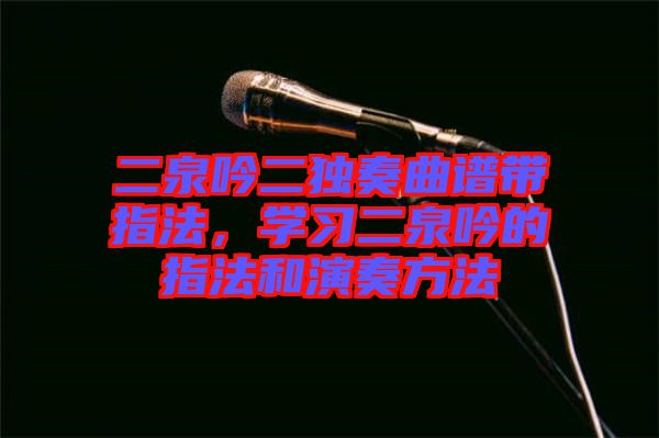 二泉吟二獨奏曲譜帶指法，學習二泉吟的指法和演奏方法