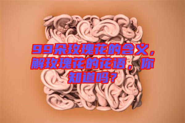 99朵玫瑰花的含義，解玫瑰花的花語，你知道嗎？