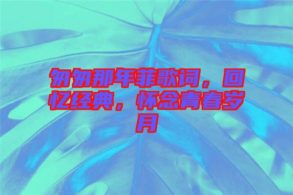 匆匆那年菲歌詞，回憶經(jīng)典，懷念青春歲月