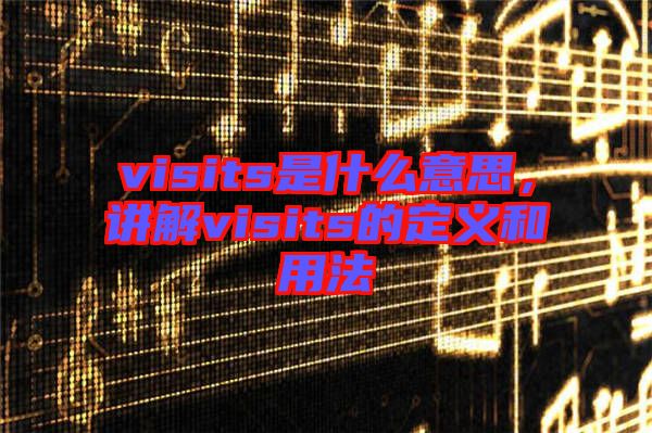 visits是什么意思，講解visits的定義和用法