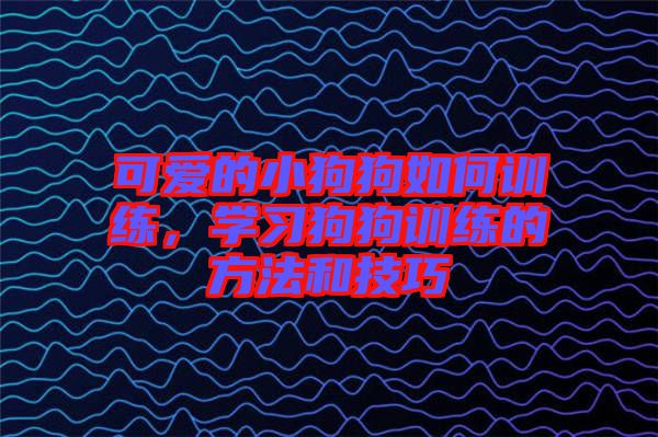 可愛的小狗狗如何訓(xùn)練，學(xué)習(xí)狗狗訓(xùn)練的方法和技巧