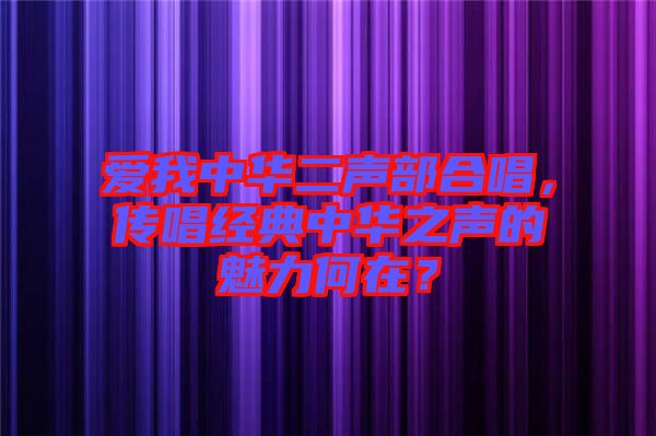 愛我中華二聲部合唱，傳唱經(jīng)典中華之聲的魅力何在？