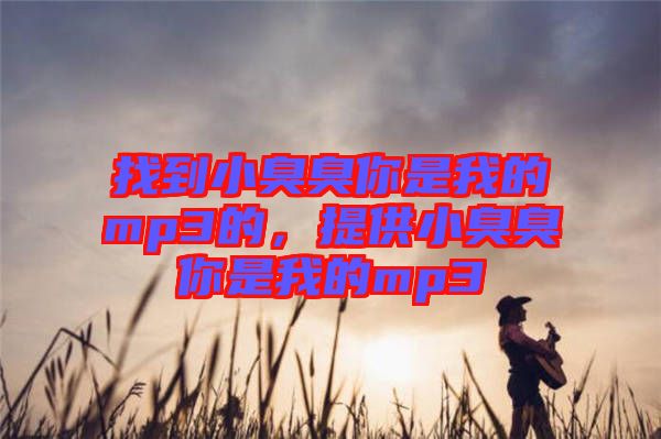 找到小臭臭你是我的mp3的，提供小臭臭你是我的mp3