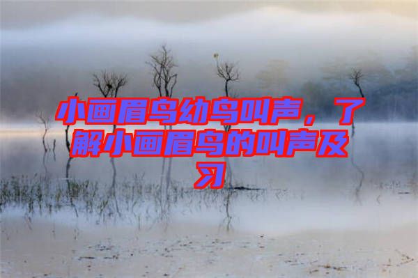 小畫(huà)眉鳥(niǎo)幼鳥(niǎo)叫聲，了解小畫(huà)眉鳥(niǎo)的叫聲及習(xí)