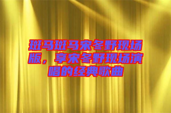 斑馬斑馬宋冬野現(xiàn)場版，享宋冬野現(xiàn)場演唱的經(jīng)典歌曲