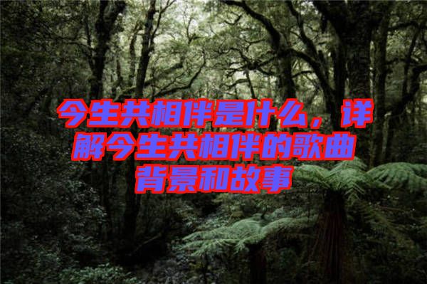 今生共相伴是什么，詳解今生共相伴的歌曲背景和故事