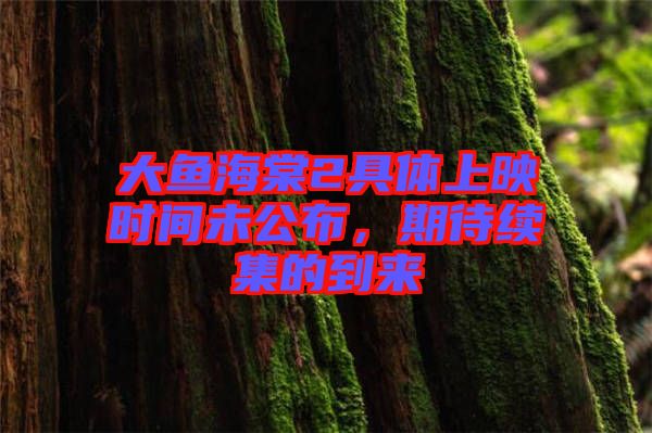 大魚海棠2具體上映時(shí)間未公布，期待續(xù)集的到來(lái)