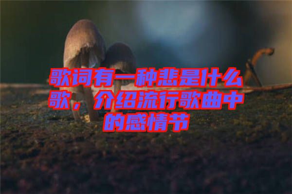 歌詞有一種悲是什么歌，介紹流行歌曲中的感情節(jié)