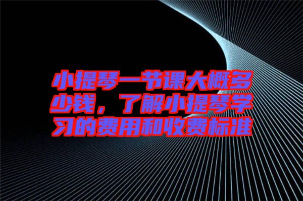 小提琴一節(jié)課大概多少錢，了解小提琴學(xué)習(xí)的費(fèi)用和收費(fèi)標(biāo)準(zhǔn)