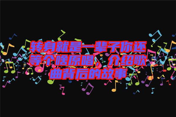 轉(zhuǎn)身就是一輩子你還等個啥原唱，介紹歌曲背后的故事