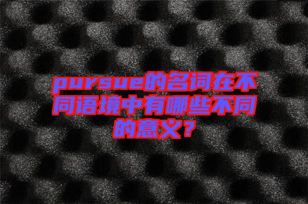 pursue的名詞在不同語(yǔ)境中有哪些不同的意義？