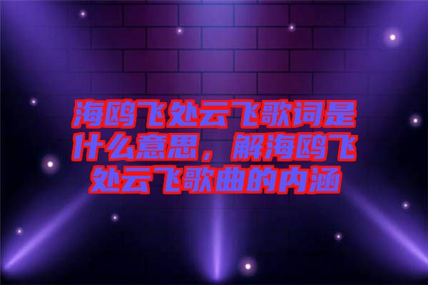 海鷗飛處云飛歌詞是什么意思，解海鷗飛處云飛歌曲的內(nèi)涵