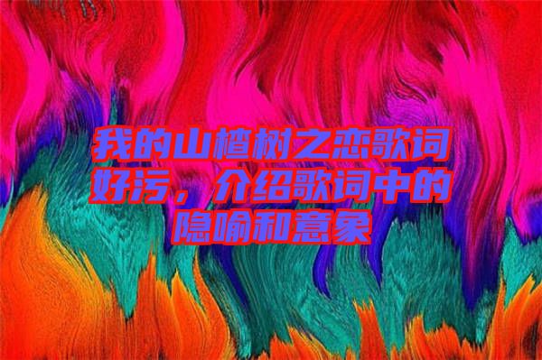 我的山楂樹(shù)之戀歌詞好污，介紹歌詞中的隱喻和意象