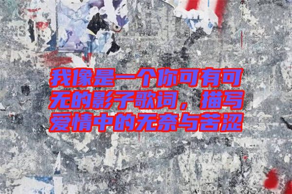 我像是一個你可有可無的影子歌詞，描寫愛情中的無奈與苦澀