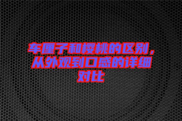 車?yán)遄雍蜋烟业膮^(qū)別，從外觀到口感的詳細(xì)對比