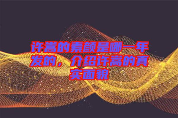 許嵩的素顏是哪一年發(fā)的，介紹許嵩的真實(shí)面貌