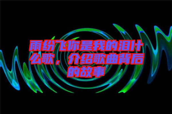 雨紛飛你是我的淚什么歌，介紹歌曲背后的故事