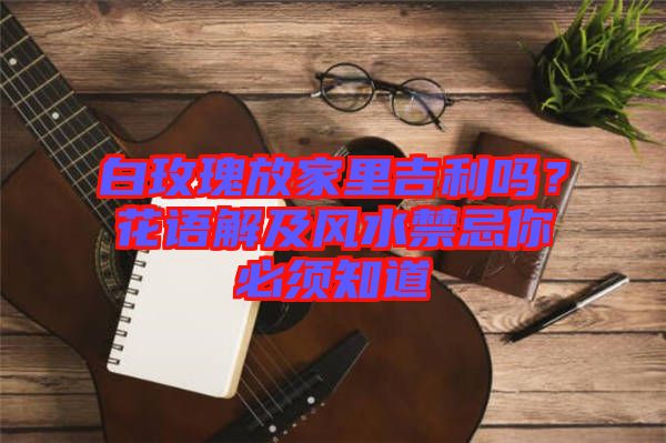 白玫瑰放家里吉利嗎？花語解及風(fēng)水禁忌你必須知道