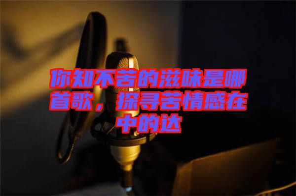 你知不苦的滋味是哪首歌，探尋苦情感在中的達(dá)