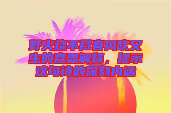 野火燒不盡春風(fēng)吹又生的意思解釋，提示這句詩的深刻內(nèi)涵