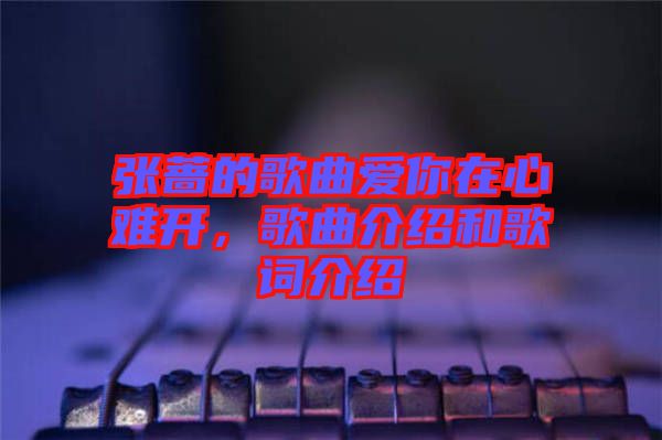 張薔的歌曲愛你在心難開，歌曲介紹和歌詞介紹