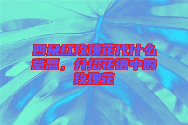 四朵紅玫瑰花代什么意思，介紹花語(yǔ)中的玫瑰花