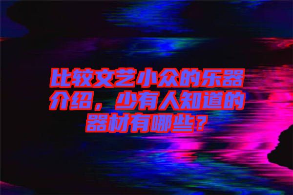 比較文藝小眾的樂(lè)器介紹，少有人知道的器材有哪些？