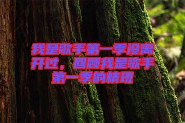 我是歌手第一季沒離開過，回顧我是歌手第一季的精現(xiàn)