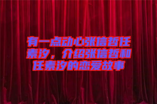 有一點動心張信哲任素汐，介紹張信哲和任素汐的戀愛故事