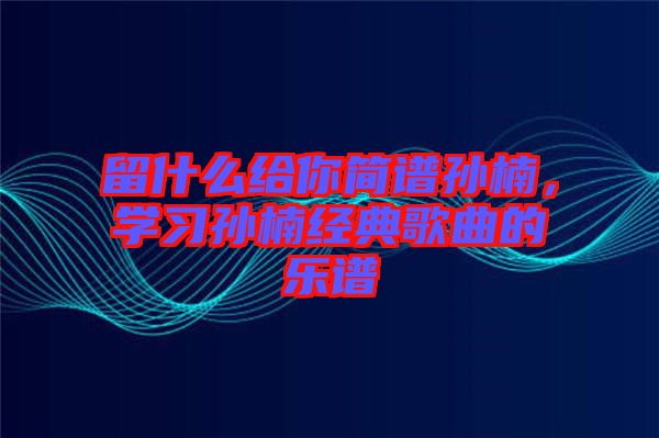 留什么給你簡譜孫楠，學(xué)習(xí)孫楠經(jīng)典歌曲的樂譜