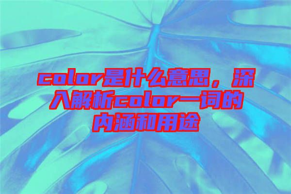 color是什么意思，深入解析color一詞的內(nèi)涵和用途