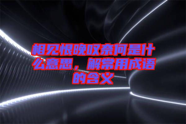 相見恨晚嘆奈何是什么意思，解常用成語的含義