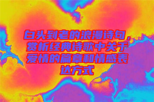 白頭到老的浪漫詩句，賞析經(jīng)典詩歌中關(guān)于愛情的篇章和情感表達方式